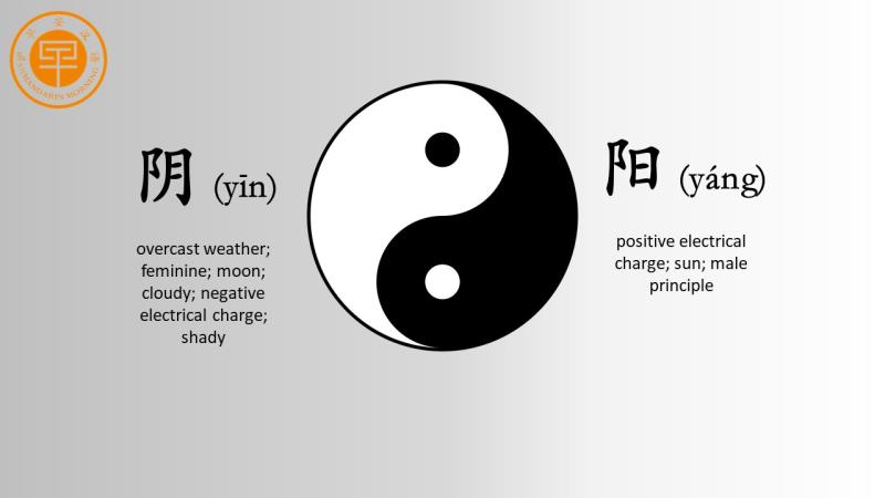 The Mandarin Meaning Of Yin Yang Learn Chinese Online Shanghai 